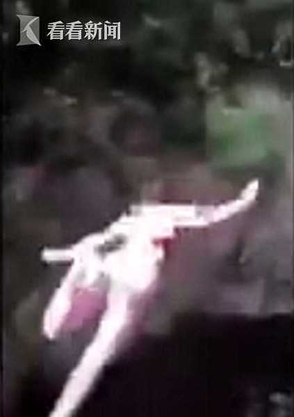 美国比基尼少女遭损友恶搞 18米高处被推落瀑布塘（组图/视频） - 4