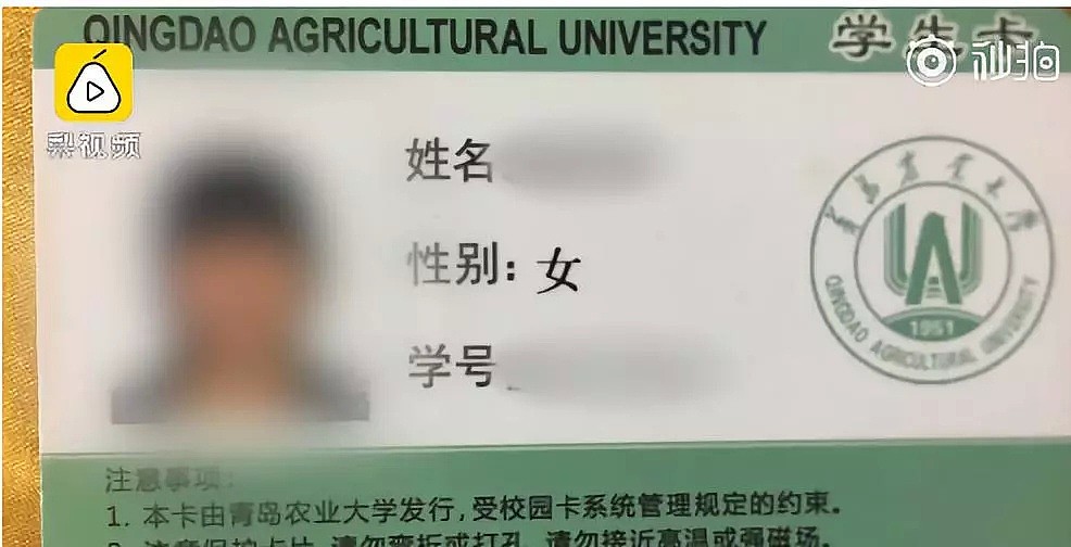 别给留学生丢人了！女大学生国外租房欠钱逃回国，房东开门傻眼！垃圾生蛆，TT情趣内衣满地（组图） - 9