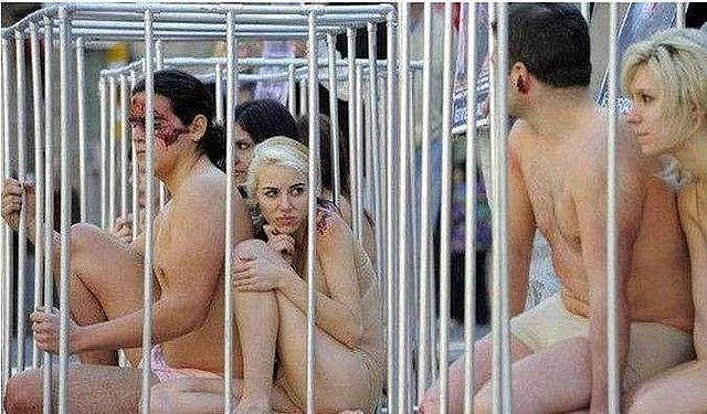 男女被关进关进同一个笼子，看着让人痛心不已，原因令人感动！