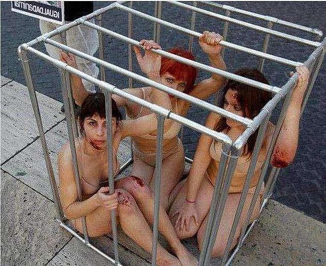 男女被关进关进同一个笼子，看着让人痛心不已，原因令人感动！