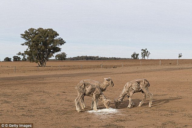 Australia has been suffering one of the most intense droughts of the past century