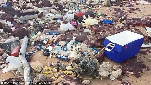 An eski is amongst plastic bags, bottles and scraps that have washed up on the shoreline