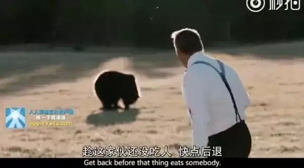 中国游客擅闯私人领地参观黑熊，美剧《黄石》这个片段火了！是真没素质还是恶意丑化？（视频/组图） - 3