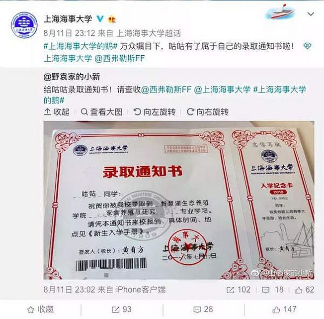 一只名叫「咕咕」的鹅获取上海海事大学的录取通知书。 (取材自微博)