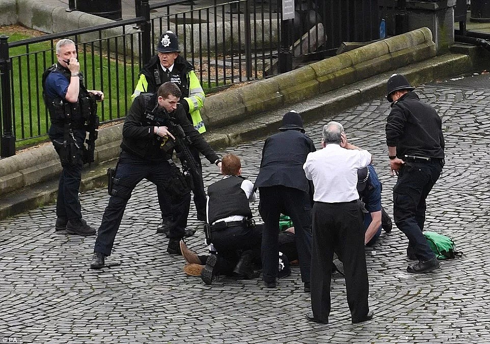 突发！英国议会大厦外发生恐怖袭击！汽车故意撞人，多人受伤！（组图） - 9