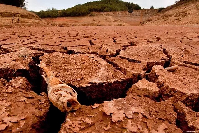 诡异天气席卷全球，亚洲爆发夺命水灾，澳洲遭遇了百年难遇干旱，画面惨烈如地狱。 - 25
