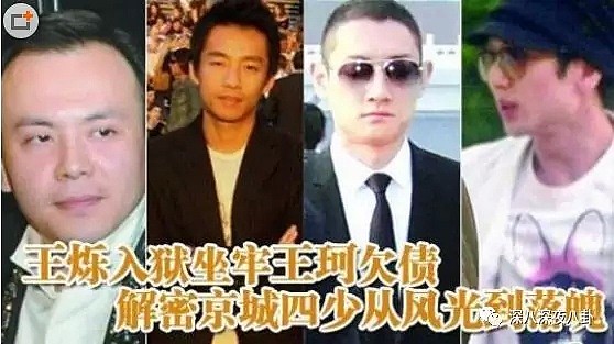 王思聪大厦将倾，曾经互飚脏话的富二代如今也“风水轮流转”了…（组图） - 29