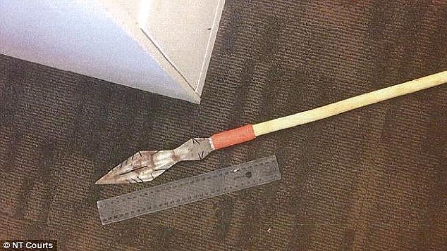 He was armed with a 2metre long 'steel-tipped, shovel-nosed spear' (pictured)Â 