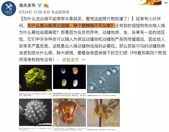 注意！入境被盘查，被海关严词警告！这几样新西兰特产千万别带回国！（组图） - 5