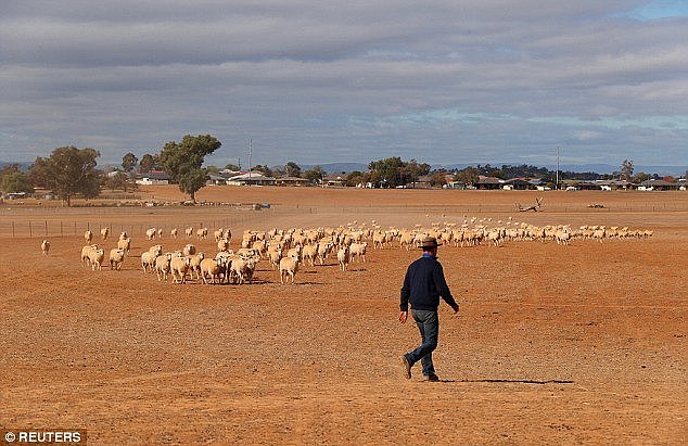New South Wales is suffering through one of its driest winters on record