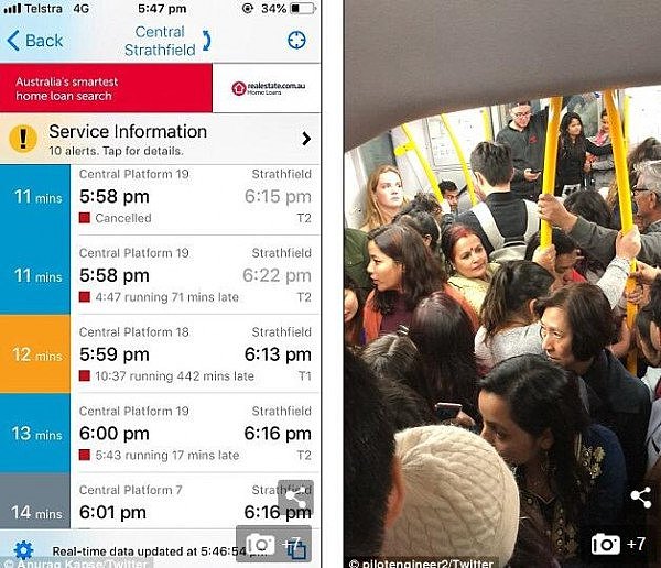 懵了！悉尼CBD城铁陷入混乱，数千乘客滞留车站！ “罪魁祸首”竟是一个气球！（组图） - 6
