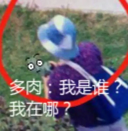 华人大妈偷花视频被疯传！网友：我家的芦荟、篮球、足球也都不见了（视频/组图） - 4