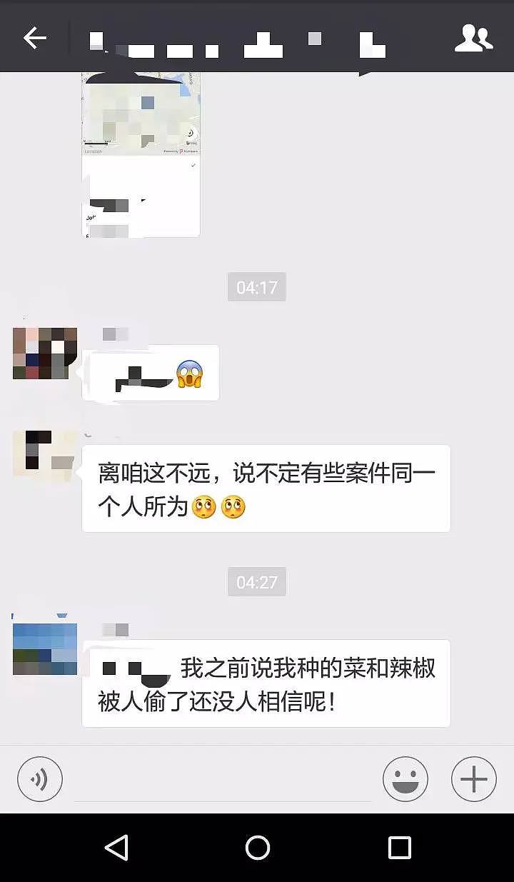 华人大妈偷花视频被疯传！网友：我家的芦荟、篮球、足球也都不见了（视频/组图） - 10