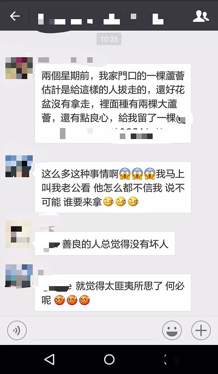 华人大妈偷花视频被疯传！网友：我家的芦荟、篮球、足球也都不见了（视频/组图） - 14