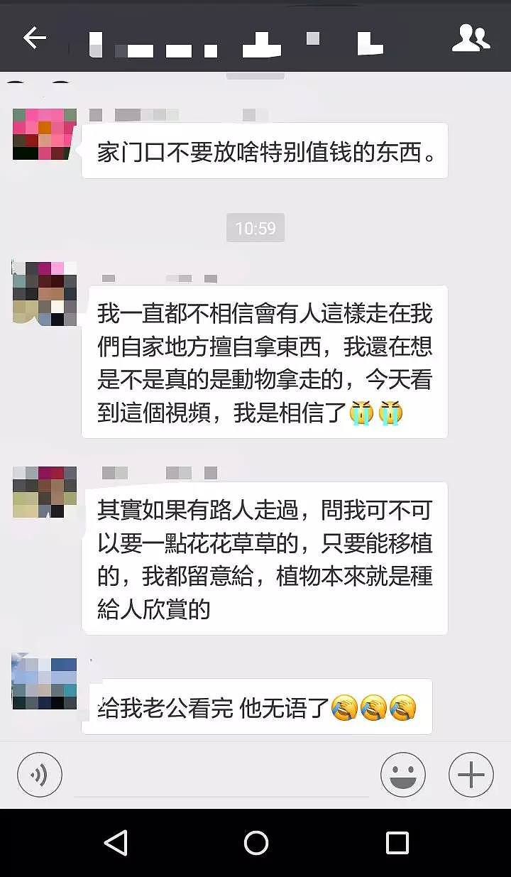 华人大妈偷花视频被疯传！网友：我家的芦荟、篮球、足球也都不见了（视频/组图） - 15