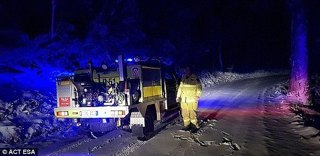 A man who was left stranded with his dog in the middle of a blizzard used a phone app and a game of Marco Polo to alert rescuers of his location