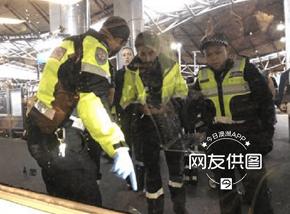 华人网友：“有人掉下站台”！一女在墨尔本南十字星站被火车撞倒，疑有精神疾病（组图） - 8