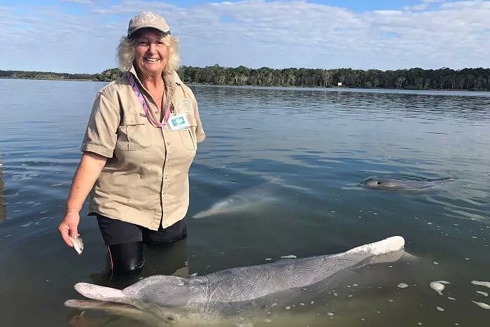 60年前，澳洲这个小镇的居民救助了一只驼海豚，从这之后，这里每天都有神奇的事情发生... - 13