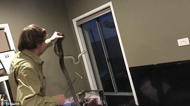 A carpet python was discovered inside a Queensland home earlier this month, much to the shock of an American couple who were holidaying in AustraliaÂ 