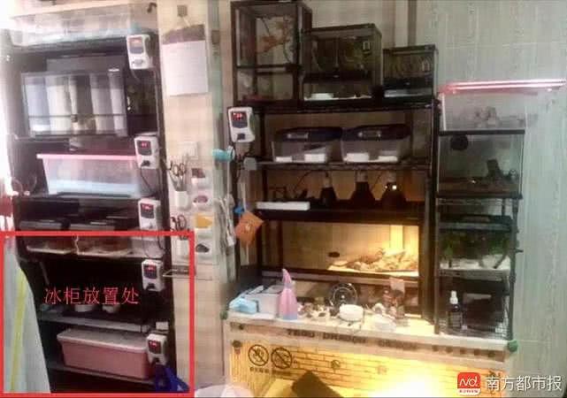 上海杀妻藏尸冰柜案嫌犯获死刑 杀人后用亡妻钱款与异性开房（视频/组图） - 4