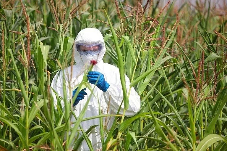 出事！CNN惊曝：澳洲超市热卖食品含有害化学物质！许多华人不知情，仍在买...（组图） - 18