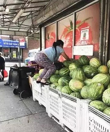 华人大妈自带菜篮 合伙偷菜 偷花，动作熟练，连根挖走留下空盆...（组图） - 10