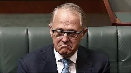 澳洲延禧宫斗落下帷幕！Scott意外就任新总理，击败Dutton，继任Turnbull，移民政策或有转机！！！ - 2