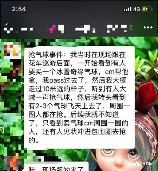 上海迪士尼抢气球上外媒了…这只是低素质冰山一角而已（视频/组图） - 7