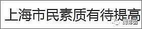 上海迪士尼抢气球上外媒了…这只是低素质冰山一角而已（视频/组图） - 20