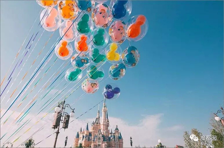 上海迪士尼抢气球上外媒了…这只是低素质冰山一角而已（视频/组图） - 29