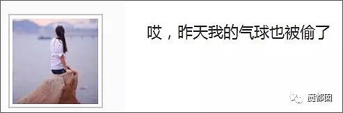 上海迪士尼抢气球上外媒了…这只是低素质冰山一角而已（视频/组图） - 33