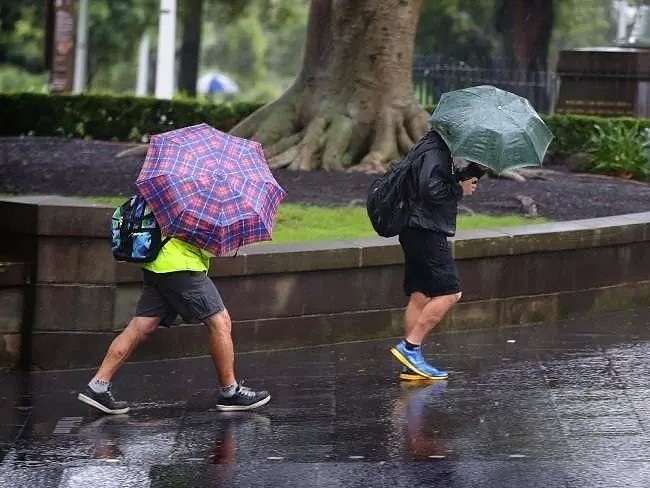 悉尼周末要泡汤！将迎来6个月来最严重降雨，到处都是湿漉漉！大家出门记得带伞！（组图） - 12