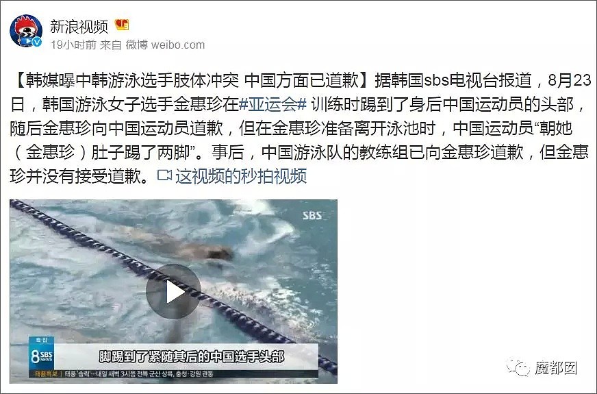 中国游泳女队员暴打韩国女选手？韩网已骂翻！真相让人暴怒！（组图） - 1