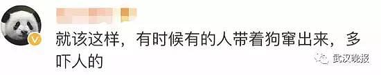 路人被哈士奇瞪出十级伤残狗主人要赔5万 网友炸锅