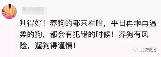 路人被哈士奇瞪出十级伤残狗主人要赔5万 网友炸锅