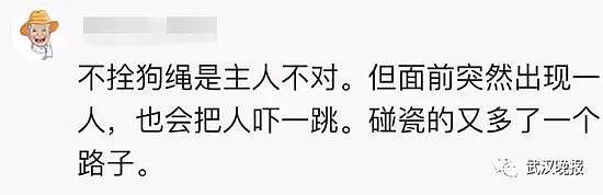 路人被哈士奇瞪出十级伤残狗主人要赔5万 网友炸锅