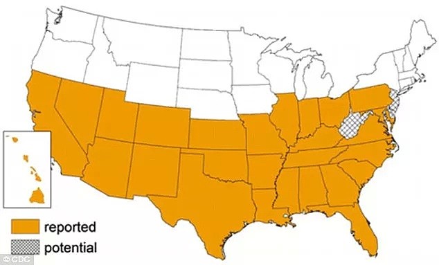 美国爆发大规模寄生虫病！已有30万人被感染，近10万人可能因此死亡！（组图） - 3