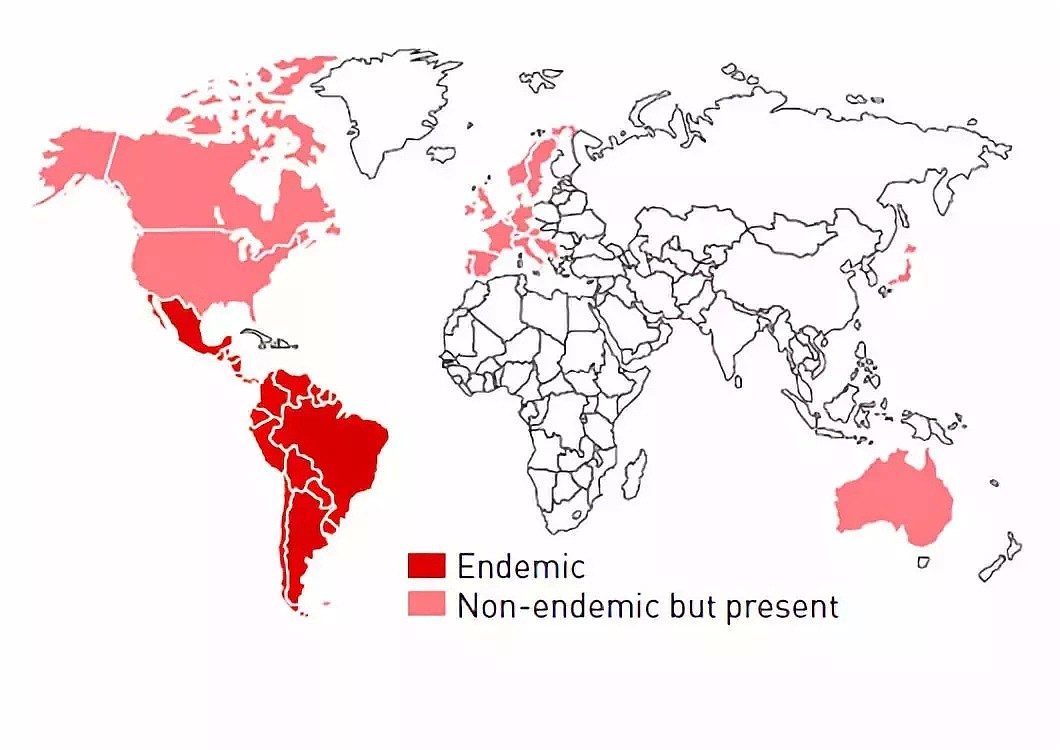 美国爆发大规模寄生虫病！已有30万人被感染，近10万人可能因此死亡！（组图） - 7