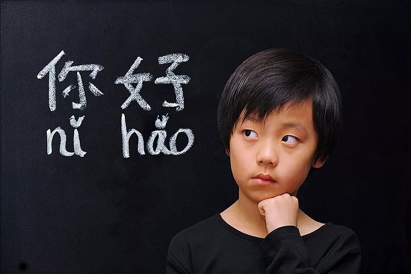 这就是新西兰人眼中的中国?看完这个调查报告后惊呆了...(组图) - 6