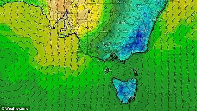 悉尼华人朋友圈刷屏“冻成狗”！全澳多地气温创历史新低！此地录得92年来最冷8月天！（组图） - 19