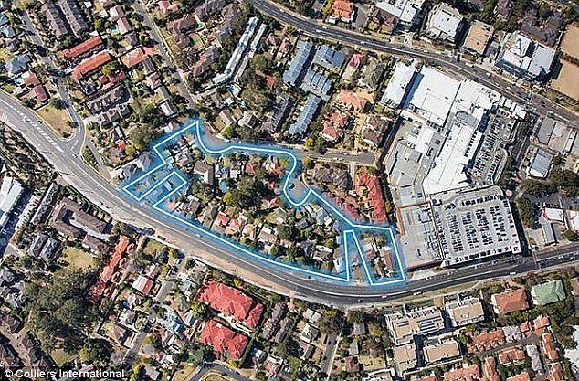 The residents in Baulkham Hills, a north-western suburb of Sydney, have joined forces to create 'Hillsview Central' (pictured), a site almost the size of two hectares