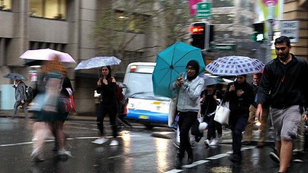 悉尼昨夜遭“天打雷劈”！Town Hall车站秒变鱼塘，多地街道严重内涝！（组图） - 8