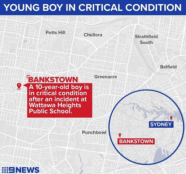 可怕！“孩子差点被打死，老师呢？” 10岁悉尼男孩在学校遭袭击，生命垂危！（组图） - 4