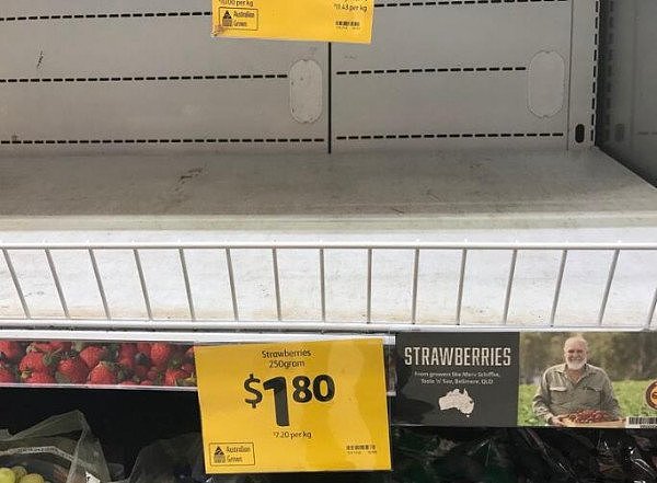 澳人如今谈“莓”色变！几乎无人敢买，农民伯伯被迫想出了一个办法，但它真的有用吗？（组图） - 1