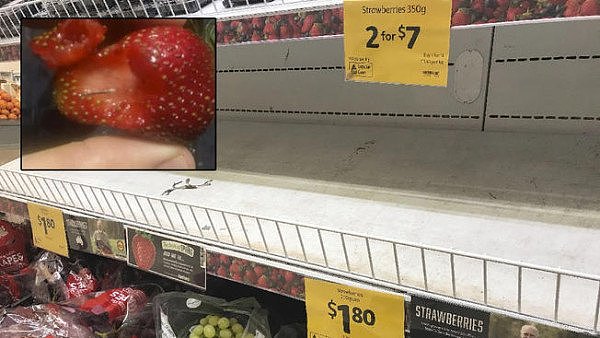 AP_18260348172036-needles-in-strawberries.jpg,0