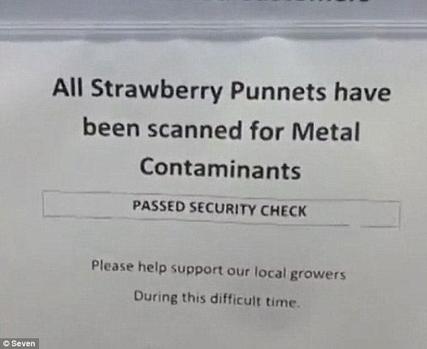 午餐惊魂！澳洲学生午餐接连出现藏针草莓，4所学校发警告信！超市被迫进行金属检测（组图） - 3