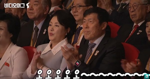 朝鲜演出太魔性 韩国第一夫人当场惊呆（组图） - 6