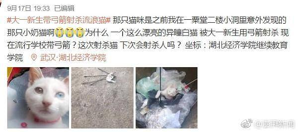 大一新生带弓箭射杀流浪猫 校方：已予退学处理（图） - 1