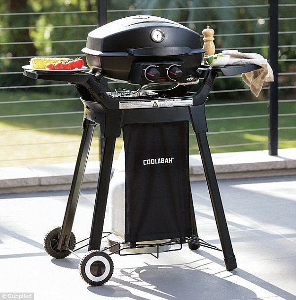 507D49EB00000578-6191839-Aldi_are_also_selling_a_smaller_and_less_expensive_gas_barbecue_-a-34_1537510841233.jpg,0