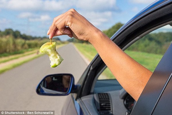 50B7BD0300000578-6212839-The_act_of_throwing_of_apple_cores_out_the_window_stock_image_is-a-1_1538023515137.jpg,0